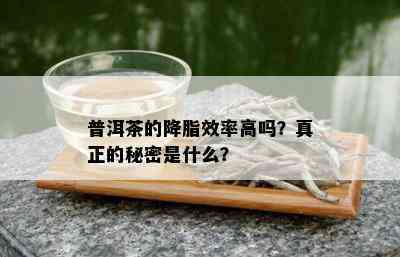 普洱茶的降脂效率高吗？真正的秘密是什么？