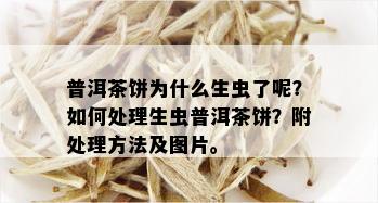 普洱茶饼为什么生虫了呢？如何处理生虫普洱茶饼？附处理方法及图片。