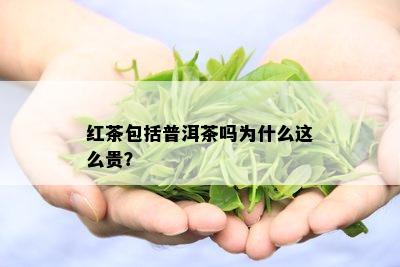 红茶包括普洱茶吗为什么这么贵？