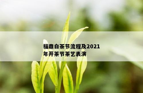 福鼎白茶节流程及2021年开茶节茶艺表演