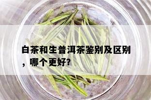 白茶和生普洱茶鉴别及区别，哪个更好？