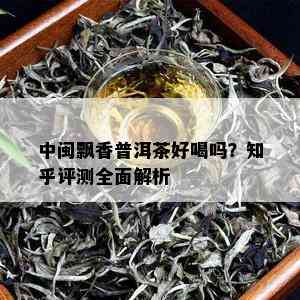 中闽飘香普洱茶好喝吗？知乎评测全面解析