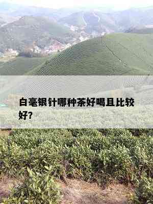 白毫银针哪种茶好喝且比较好？