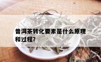 普洱茶转化要素是什么原理和过程？