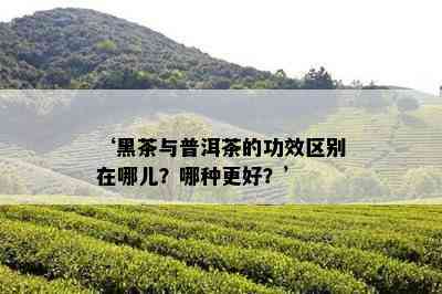 ‘黑茶与普洱茶的功效区别在哪儿？哪种更好？’