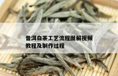 普洱白茶工艺流程图解视频教程及制作过程