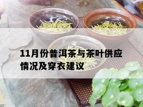 11月份普洱茶与茶叶供应情况及穿衣建议