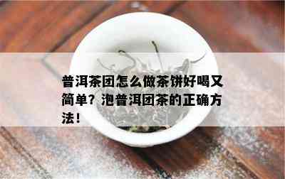 普洱茶团怎么做茶饼好喝又简单？泡普洱团茶的正确方法！