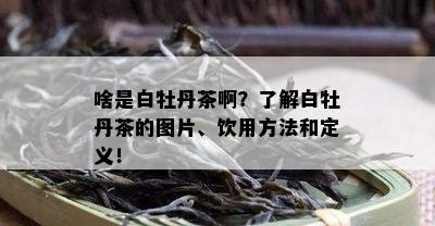 啥是白牡丹茶啊？了解白牡丹茶的图片、饮用方法和定义！