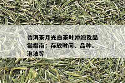 普洱茶月光白茶叶冲泡及品尝指南：存放时间、品种、泡法等