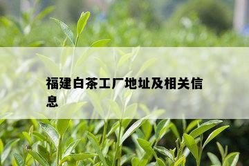 福建白茶工厂地址及相关信息