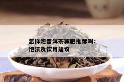 怎样泡普洱茶减肥推荐喝：泡法及饮用建议