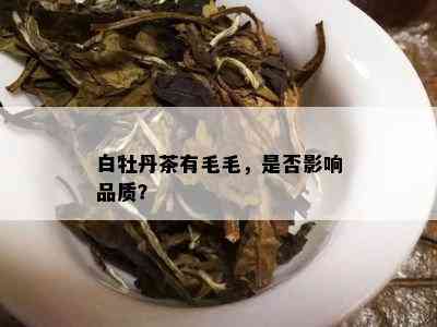 白牡丹茶有毛毛，是否影响品质？