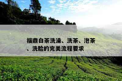 福鼎白茶洗澡、洗茶、泡茶、洗脸的完美流程要求