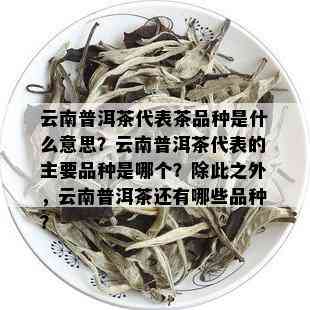 云南普洱茶代表茶品种是什么意思？云南普洱茶代表的主要品种是哪个？除此之外，云南普洱茶还有哪些品种？