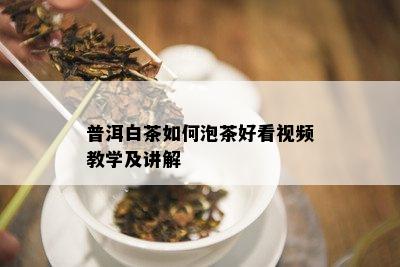 普洱白茶如何泡茶好看视频教学及讲解