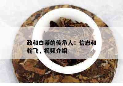 政和白茶的传承人：信忠和翰飞，视频介绍