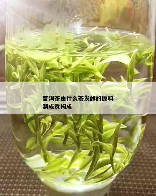 普洱茶由什么茶发酵的原料制成及构成