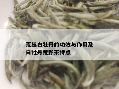 荒丛白牡丹的功效与作用及白牡丹荒野茶特点