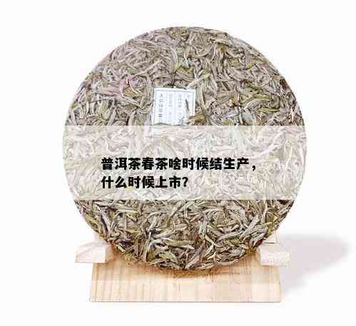 普洱茶春茶啥时候结生产，什么时候上市？