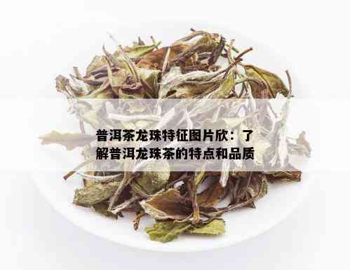 普洱茶龙珠特征图片欣：了解普洱龙珠茶的特点和品质