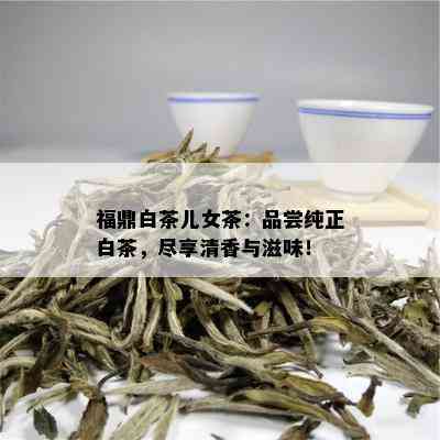 福鼎白茶儿女茶：品尝纯正白茶，尽享清香与滋味！