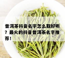 普洱茶抖音名字怎么取好听？最火的抖音普洱茶名字推荐！