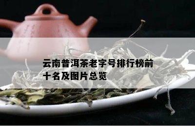 云南普洱茶老字号排行榜前十名及图片总览