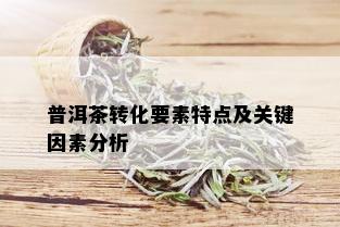 普洱茶转化要素特点及关键因素分析