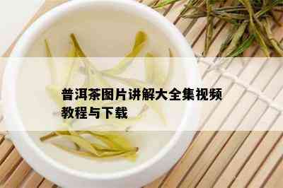 普洱茶图片讲解大全集视频教程与下载