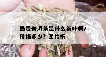 最贵普洱茶是什么茶叶啊？价格多少？图片析