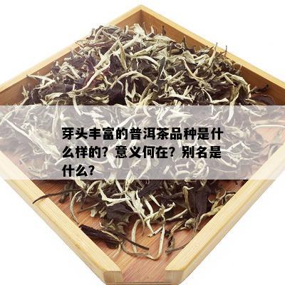 芽头丰富的普洱茶品种是什么样的？意义何在？别名是什么？