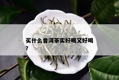 买什么普洱茶实好喝又好喝？