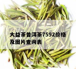 大益茶普洱茶7592价格及图片查询表