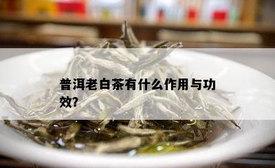 普洱老白茶有什么作用与功效？