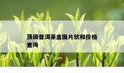 顶级普洱茶盒图片欣和价格查询