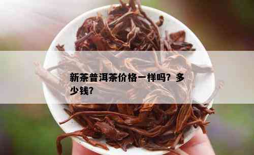 新茶普洱茶价格一样吗？多少钱？