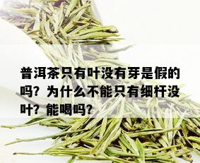 普洱茶只有叶没有芽是假的吗？为什么不能只有细杆没叶？能喝吗？