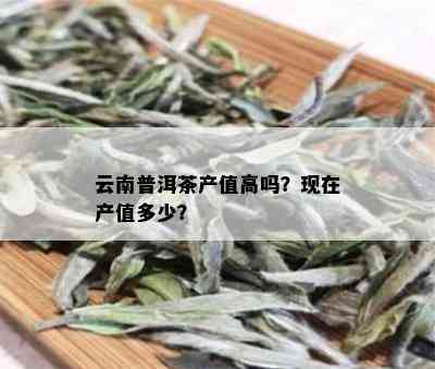 云南普洱茶产值高吗？现在产值多少？