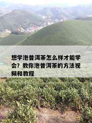 想学泡普洱茶怎么样才能学会？教你泡普洱茶的方法视频和教程