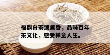 福鼎白茶泼盏香，品味百年茶文化，感受禅意人生。