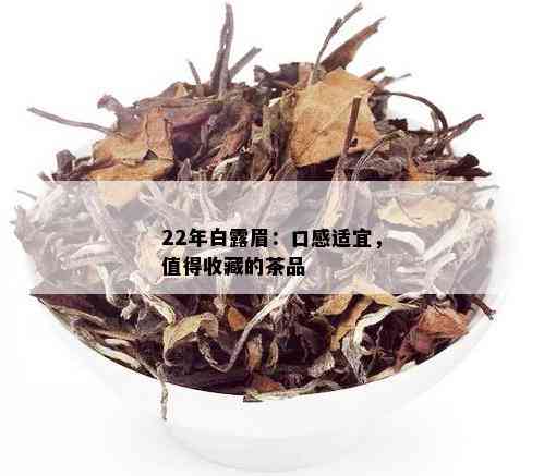 22年白露眉：口感适宜，值得收藏的茶品