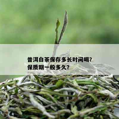 普洱白茶保存多长时间喝？保质期一般多久？