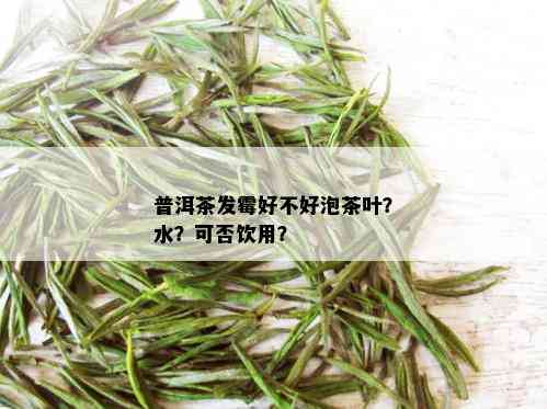 普洱茶发霉好不好泡茶叶？水？可否饮用？