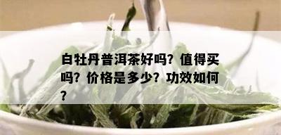 白牡丹普洱茶好吗？值得买吗？价格是多少？功效如何？