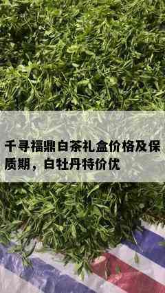 千寻福鼎白茶礼盒价格及保质期，白牡丹特价优