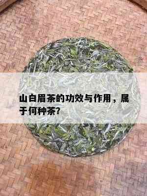 山白眉茶的功效与作用，属于何种茶？