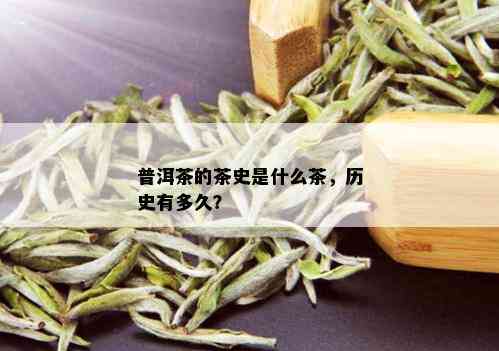 普洱茶的茶史是什么茶，历史有多久？