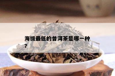 海拔更低的普洱茶是哪一种？