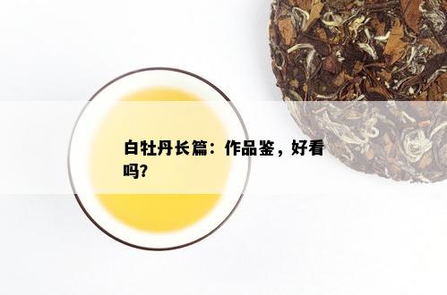 白牡丹长篇：作品鉴，好看吗？